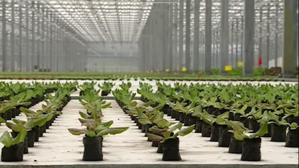 Today's brewery, tomorrow's farm