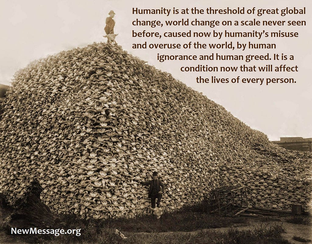 Pile of Bison skulls 1870. An increasingly difficult world