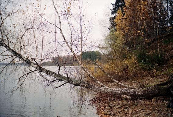 Mozhaisk Reservoir, Moscow Region, Russia
