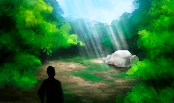 A clearing in the forest
