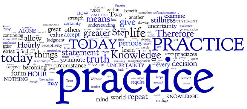 Steps To Knowledge Steps 78-83 Word Cloud by Wordle. Some small but substantial successes